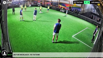 But de Nicolas D - Fc Tatane