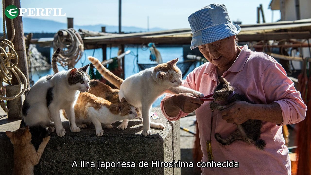 "Segredos da História: Japão, Titanic e Maria Antonieta revelam mistérios intrigantes e surpreendentes"