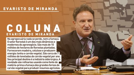 Na agropecuária nada se perde, nem a fumaça