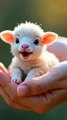 Cute baby animals AI generated video #cute #shortvideo #shorts #ai #animals