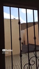 Un bonito dia con exelente clima en #tijuana #shorts hoy vigilia #ovni #ufo #alien comenten si quier