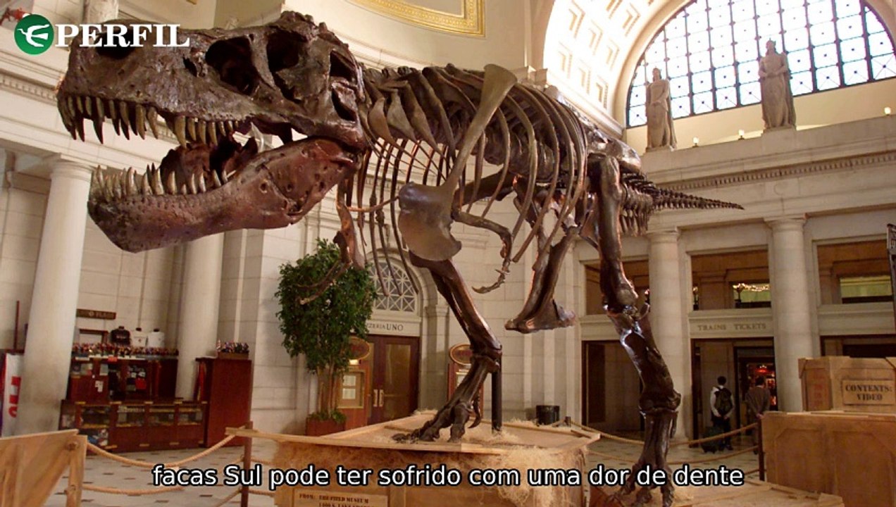 "Problemas dentários de dinossauro, final de filme real e aniversário de enfermeira assassina"