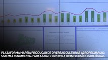 Plataforma mapeia produção de diversas culturas agropecuárias