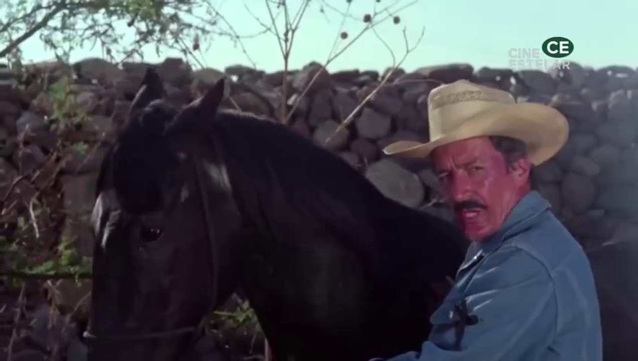 La Dinastia de la Merte 1977