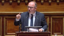 Le Sénat adopte un texte pour 