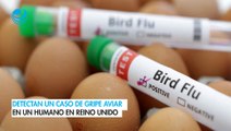 Detectan un caso de gripe aviar en un humano en Reino Unido