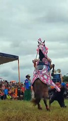 ,,,,,,,,,,,Tracks of horse,,,,,,,,