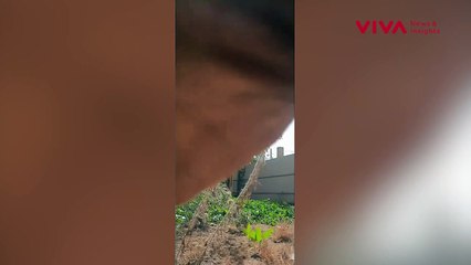 Rumah di Gaza Masih Berdiri Kokoh di Tengah Puing-puing