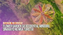 Flower garden sa Occidental Mindoro, dinarayo ng mga turista! | Biyahe ni Drew