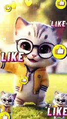 Dance cat videos training videos cooking videos