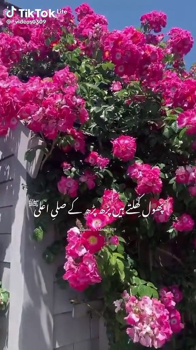 Naat