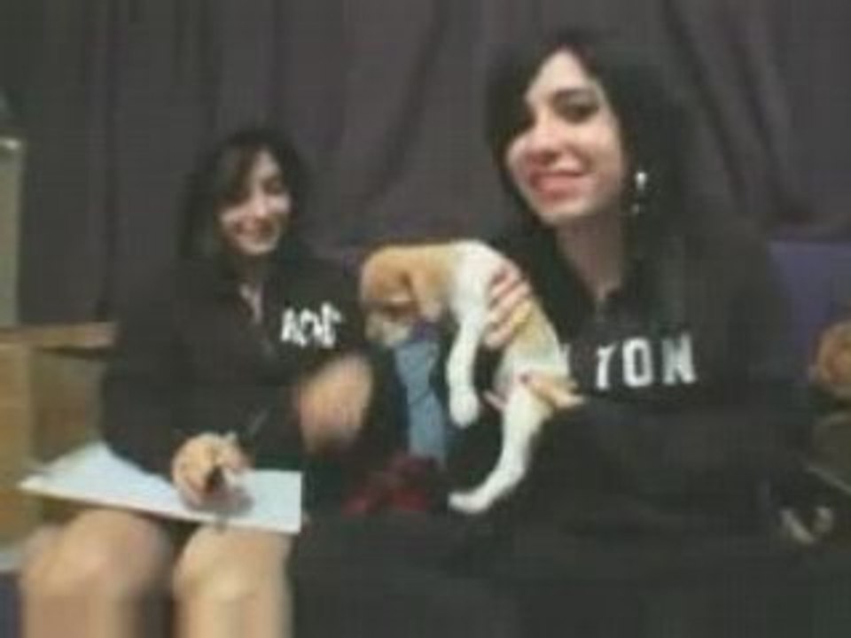 The Veronicas MTV Blog: Pre-Surgery