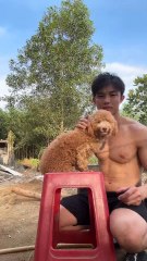 TikTok_Id_hongduong.1199_2025.01.27_09-38-28