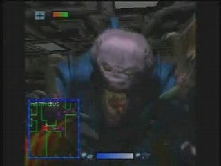 My Bloody Fingertips