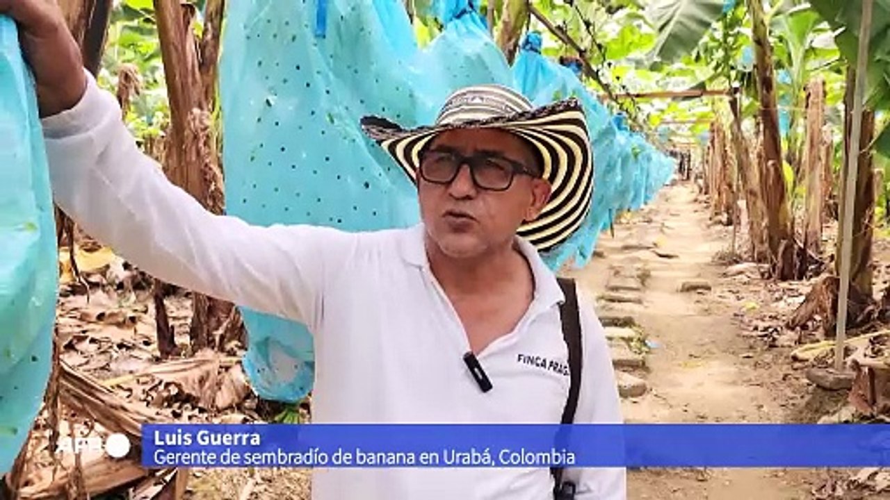 Colombia envía aviones a EEUU para trasladar deportados tras choque con Trump