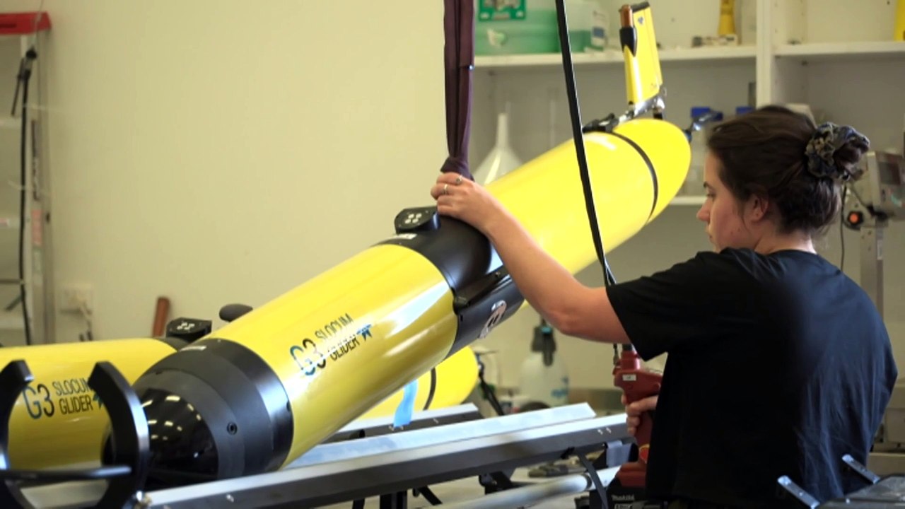 Marine heatwave likely cause of mass fish deaths on WA's Pilbara coast, authorities say