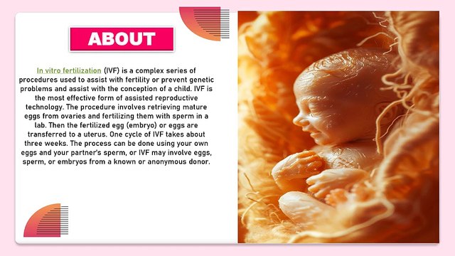 IVF ( In Vitro Fertilization) | Femmenest IVF Centre