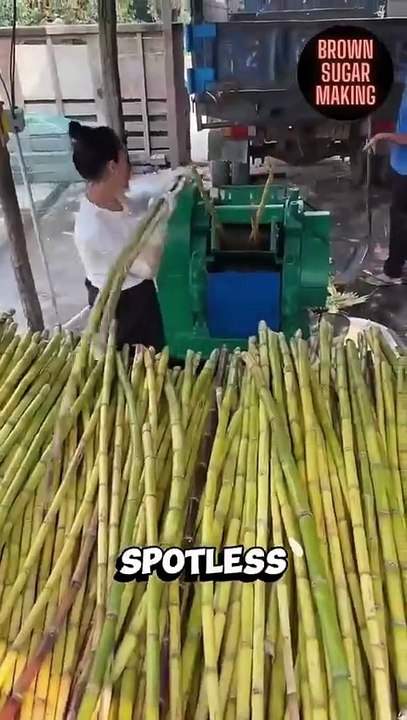 Sugarcane Jaggery Powder: Healthier Sweetener Making Sugarcane Jaggery Powder