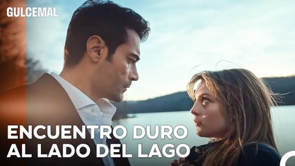 Las Armas Del Amor Han Sido Desenvainadas - Gulcemal