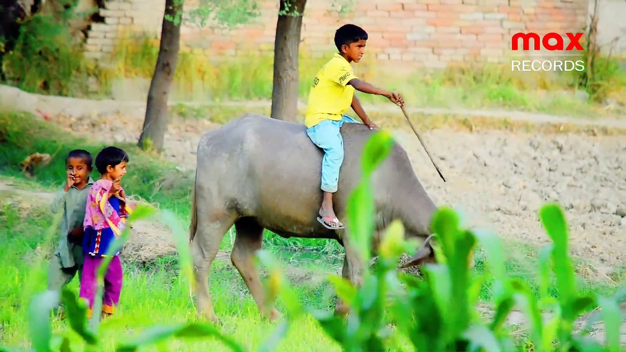 Buffalo & Kids 🐃👧 Sindhi Village Life - max RECORDS HD Video | Animals 🐾 Vlogs 📹 Status 🌾 Sindh 🇵🇰 Follow