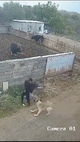 CCTV footage