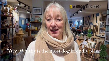 is this the most dog-friendly seaside resort? - Whitby