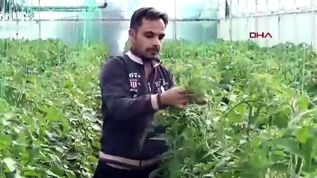 Türkiye bunu da gördü: Üreticilerde ''Suriyeliler gidiyor, fiyatlar artacak'' paniği!