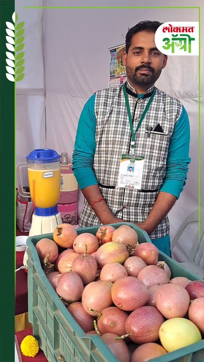 Passion Fruit Juice : शेतातच पिकवलेल्या पॅशन फ्रुटचा ज्युस विक्री व्यवसाय; युवा तरूणाची लाखोंत उलाढाल