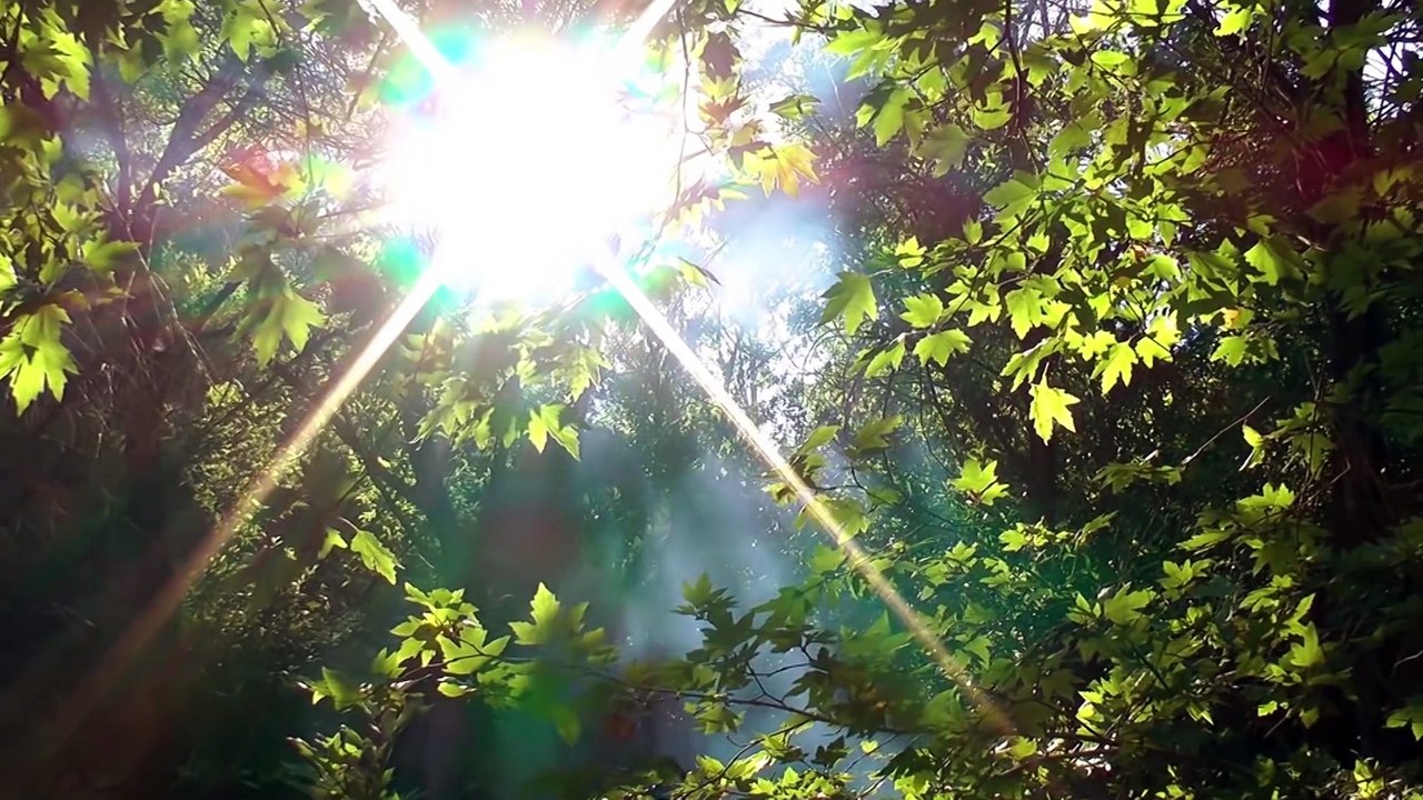 Wichtel-Motivation: Beginne den Tag in der Natur!