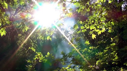 Wichtel-Motivation: Beginne den Tag in der Natur!