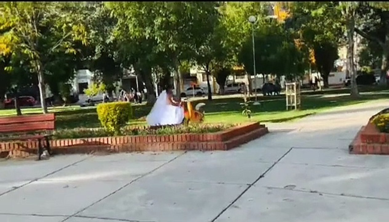 Recién casados causan sensación paseando en dinosaurios mecánicos