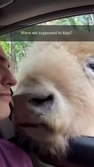 Cultural differences