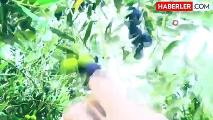 Bakan Yumaklı: 2023 Yılında Bitkisel Üretimde Rekor Kırıldı