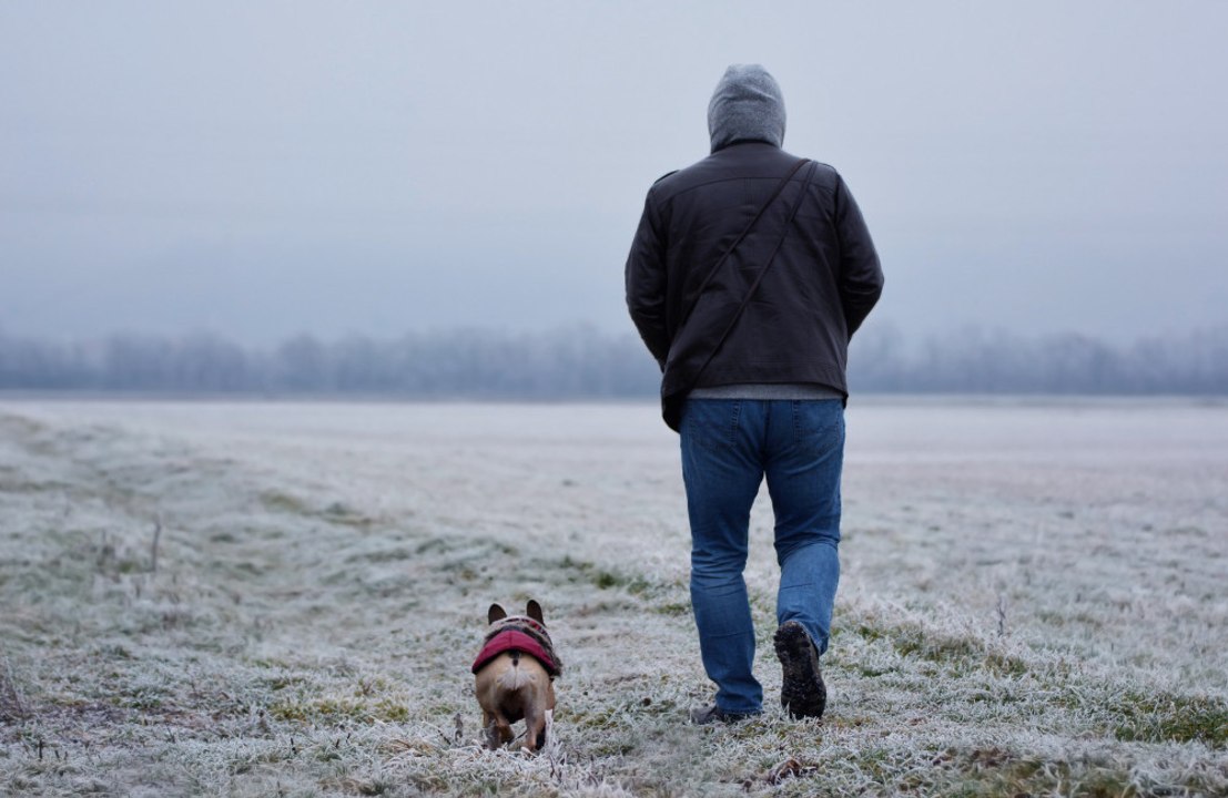 Regular dog walks could lead to a longer and healthier life for older people