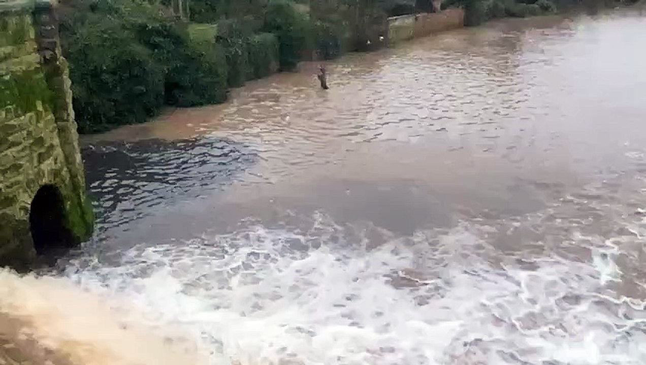 Mysterious spillage in River Leam