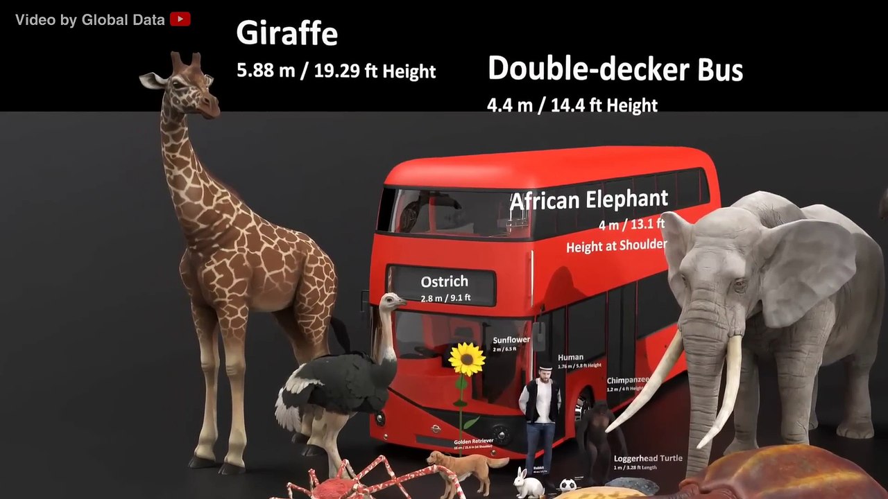Universe Size in Perspective 3D 2024 Atom to Universe Size Comparison