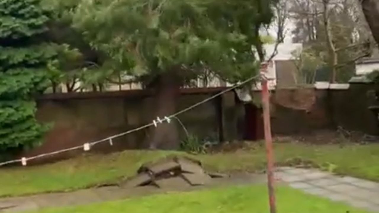 Glasgow, Scotland: Dramatic visual of ferocious winds of Storm Éowyn toppling old tree