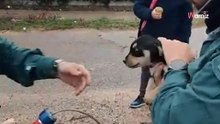 Escuchan llantos en un contenedor de basura: el hallazgo desata la indignación en España