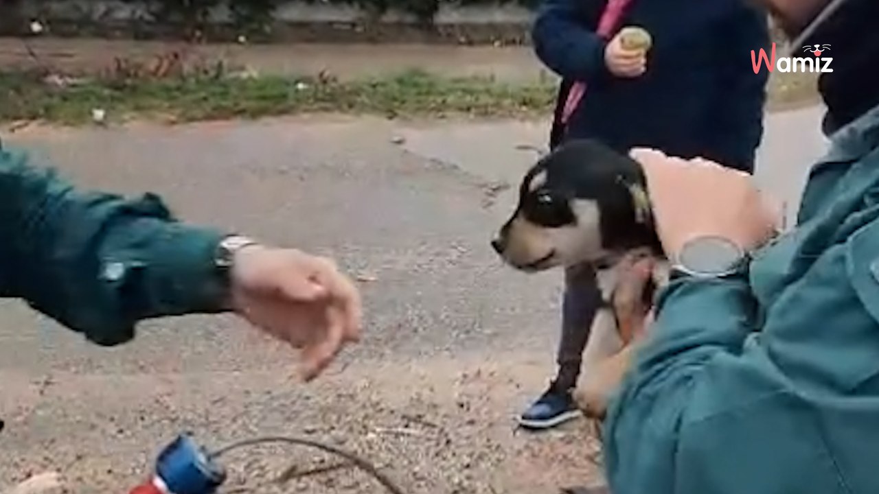Escuchan llantos en un contenedor de basura: el hallazgo desata la indignación en España