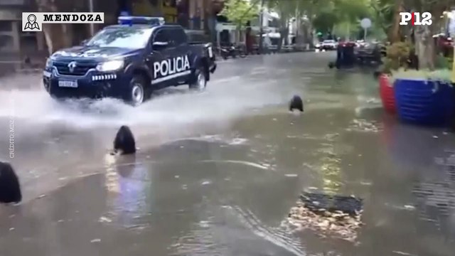 Tormenta en Gran Mendoza: Imágenes de la ciudad inundada