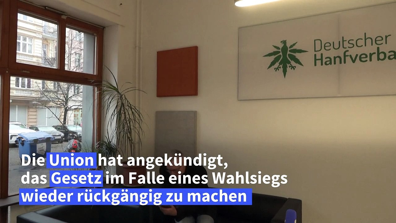 Cannabis-legalisierung: wie realistisch ist eine umkehr durch die union?