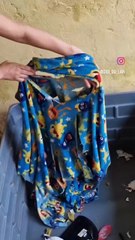 Cleaning a Dog Kennel Like a Pro