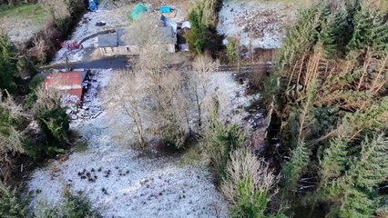 Distressing drone video shows Leitrim forest in ruins in the aftermath of Storm Éowyn