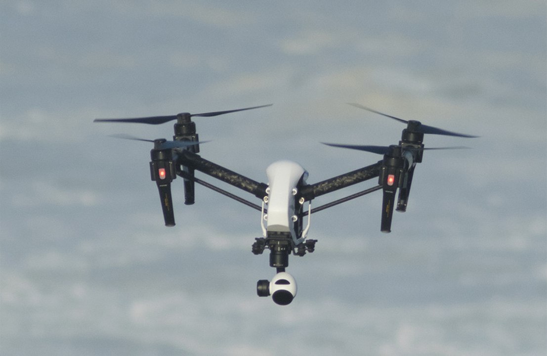 Drones can stop grizzly bears from attacking humans