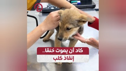 كاد أن يموت خنقا.. إنقاذ كلب