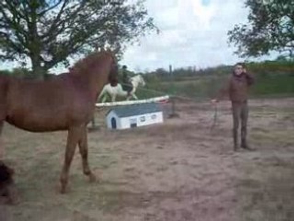 Gamin et Jo