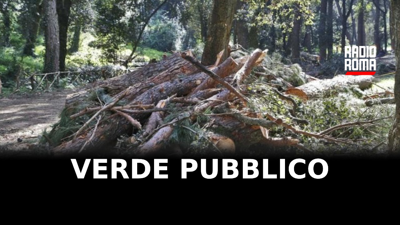 Verde pubblico, ancora tagli nella Capitale: a San Giovanni via 79 alberi