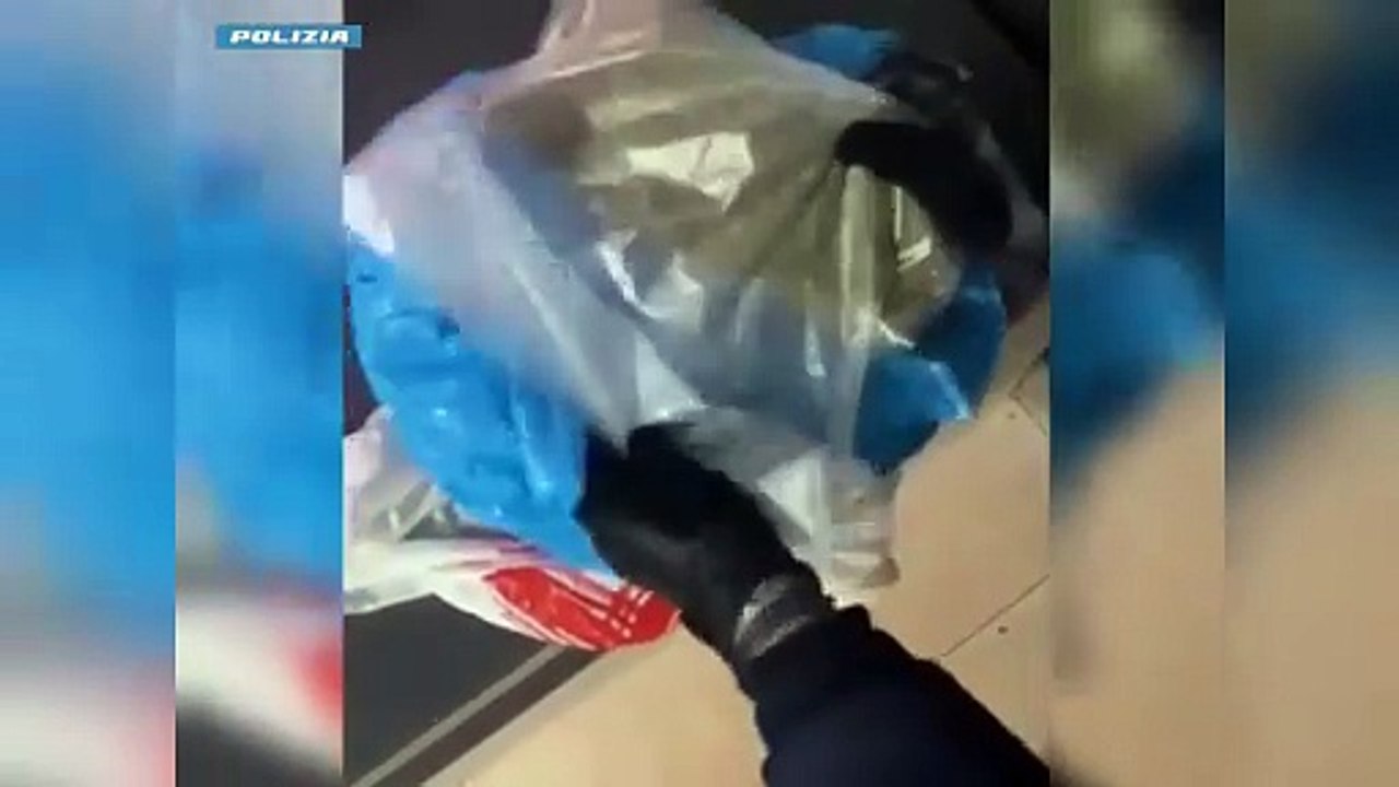 Sequestro di piante di marijuana in un appartamento al Lorenteggio