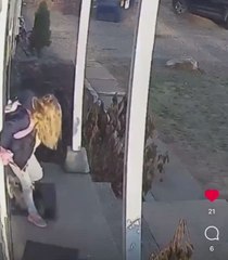 Una madre salva a su hija de ser atacada por un mapache: "Madre del año"