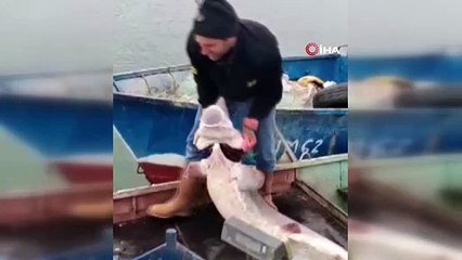 Tam 2 milyon lira! Balıkçının ağına hazine takıldı